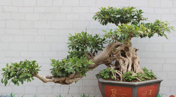 �����辰�Ļ�������