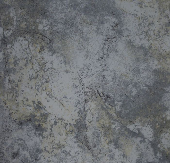 �¹�ש������