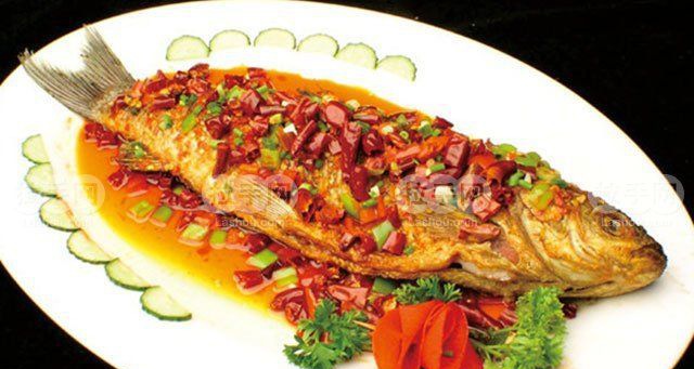 ���ղ�����������