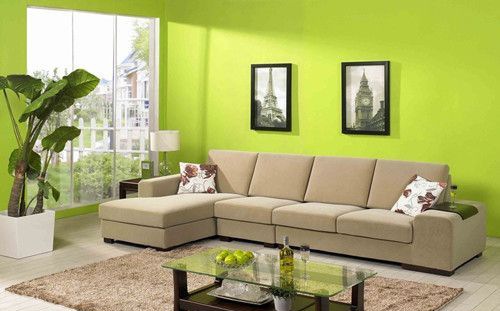 Ƥɳ����ʷ��չ