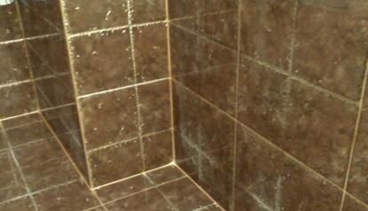 �໨�������������