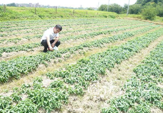 ��������Ч������