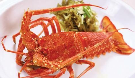 ����Ϻ��̬����