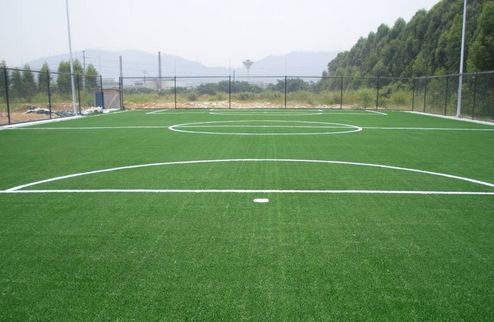 �˹���ƺ���