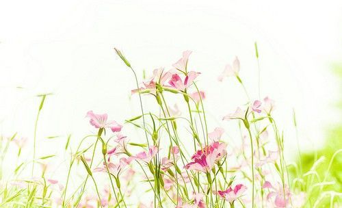 ��Ǩ֮ϲ�ͻ���Ԣ��