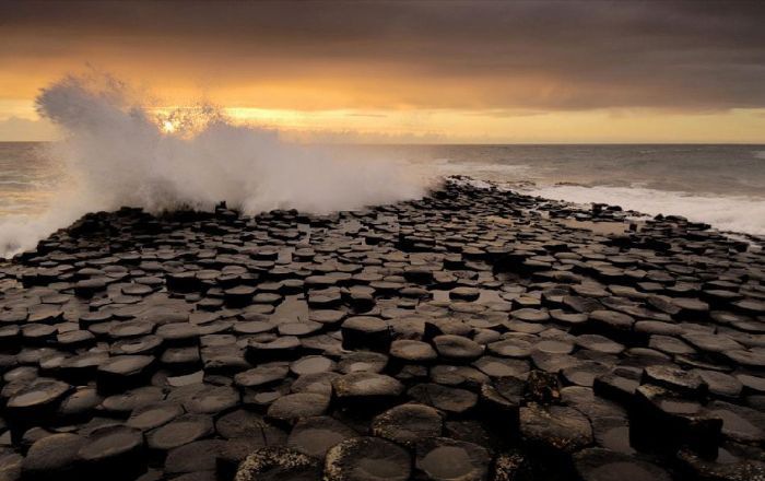 �������ĵ���������