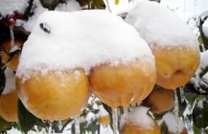 ���������������