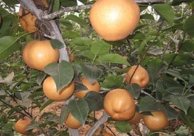 �������������Ⱥ