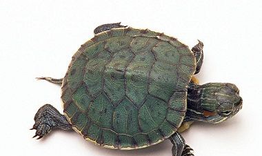 �ڹ���Ҫ�ص�