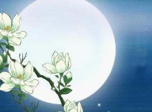 ����֮���㿪ʼ�������