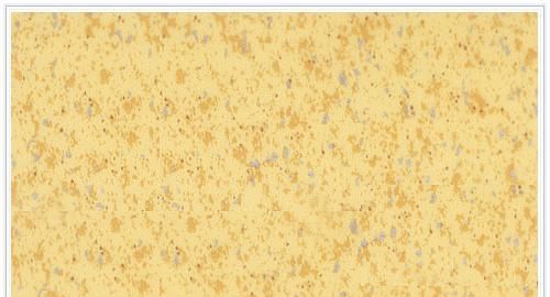 PVC�ذ���ȱ��