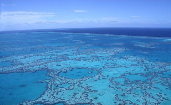 �ҹ�ǰ5�󵺽���