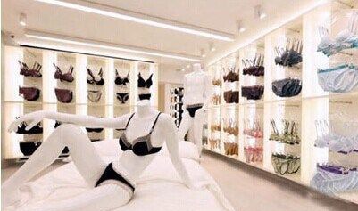 ѡ��������