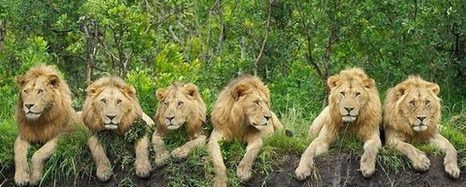 ���ͼ���