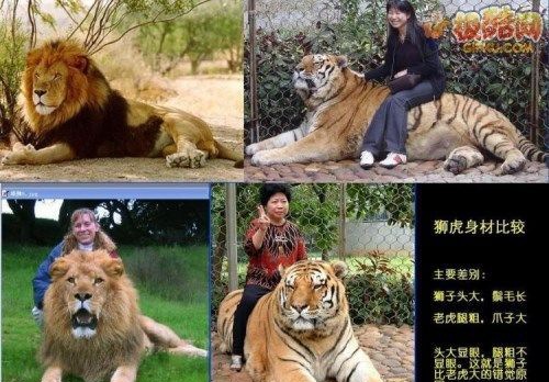 ������ӡ֤