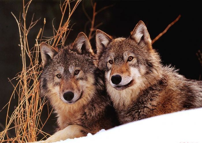 �������ǵĶԱ�