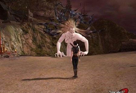 TOP2���λ�����