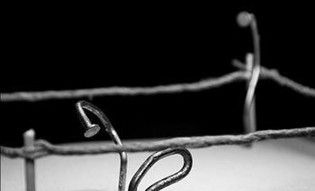 ���߽���