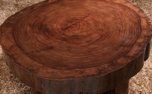 �ڽ�ľ�Ҿ߽���