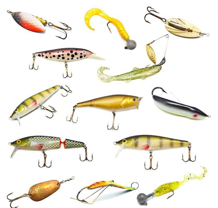 �㹳������֮ë����