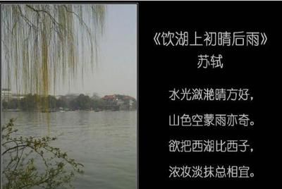 �����ϳ��������ʲô����