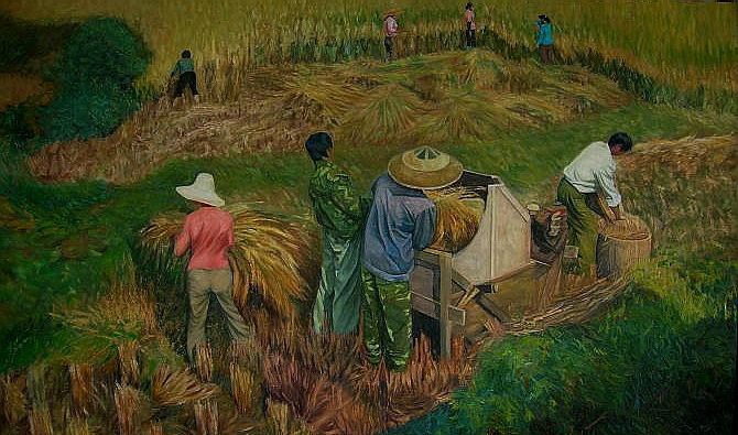 ��ɫ����