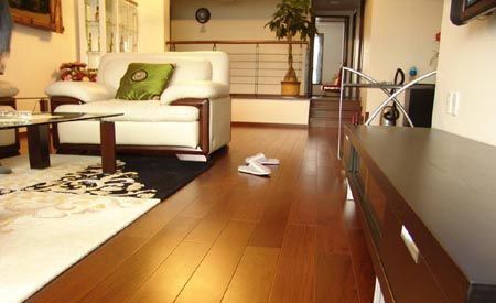 ľ�ذ��Ʒ��֮���ӵذ� 