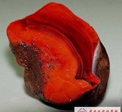 �Ϻ����ԭʯ