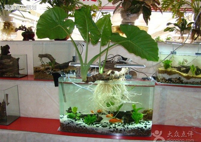 ˮ���ˮ����