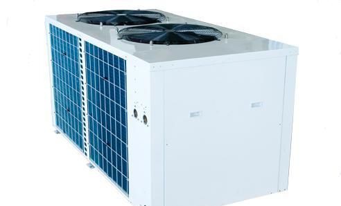 �¿�˹����յ�