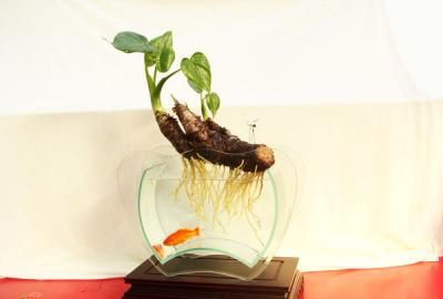 ˮ���ˮ����