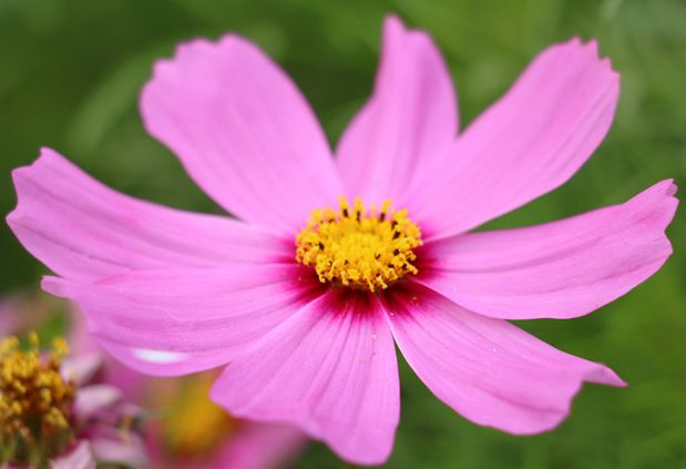 ��˹�յĻ��ܻ���