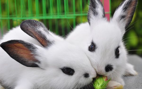 ��è����ô��