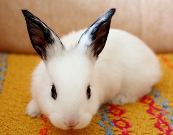 ��è����ô��