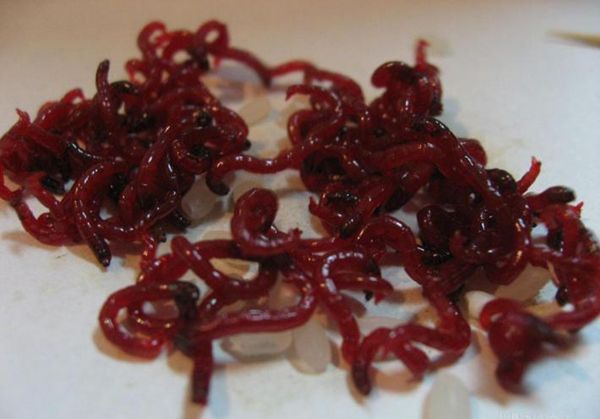 �����ô��