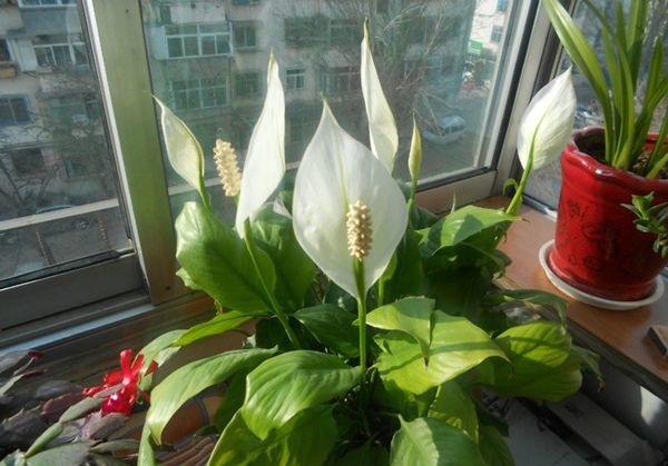 һ����˳����ô��