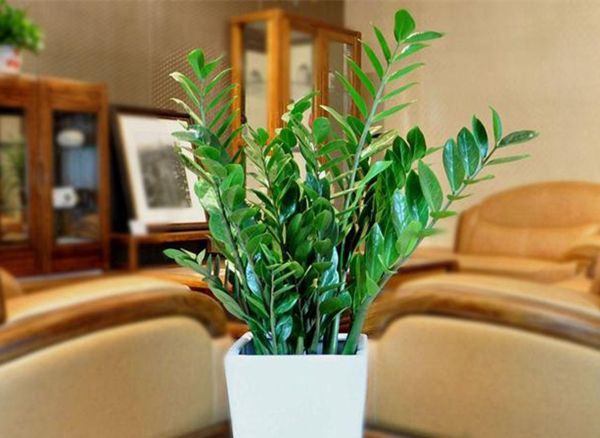 ��Ǯ����ô��