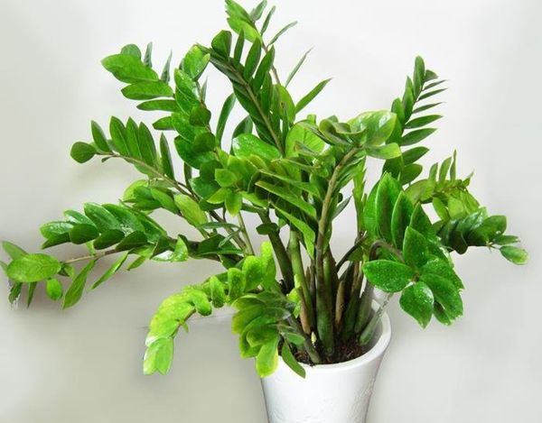 ��Ǯ����ô��