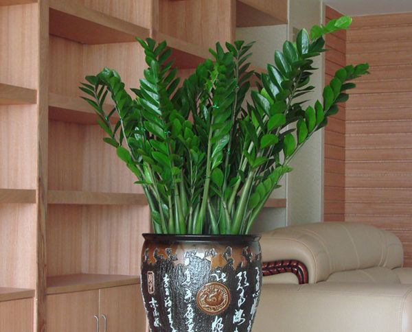 ��Ǯ����ô��