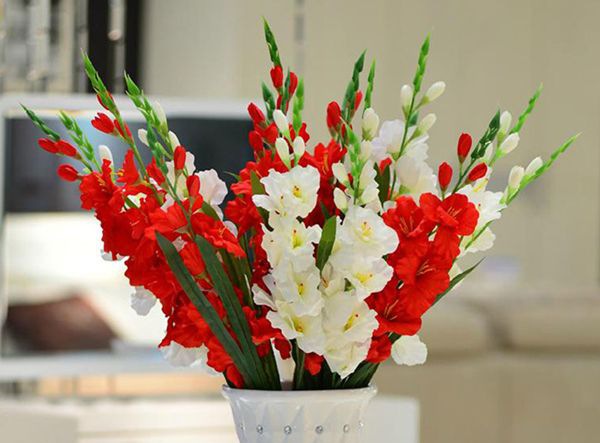 ������ô��