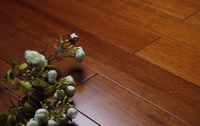 ������ذ�