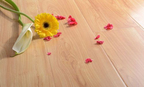 ������ذ�