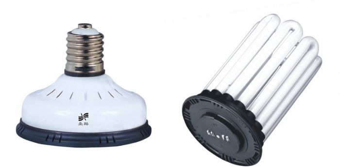 ʥ·���ʽ��ܵ�