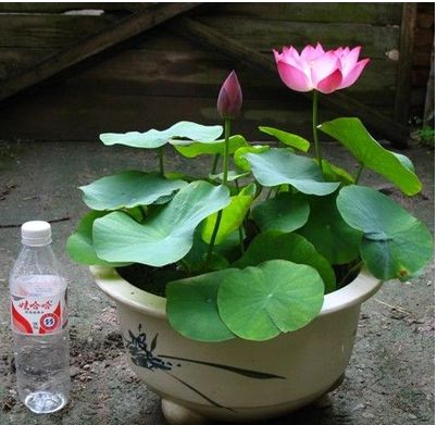 ����˯��