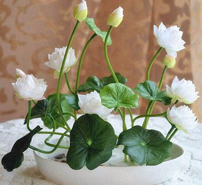 ����˯��