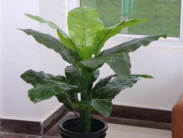 ��������ô��