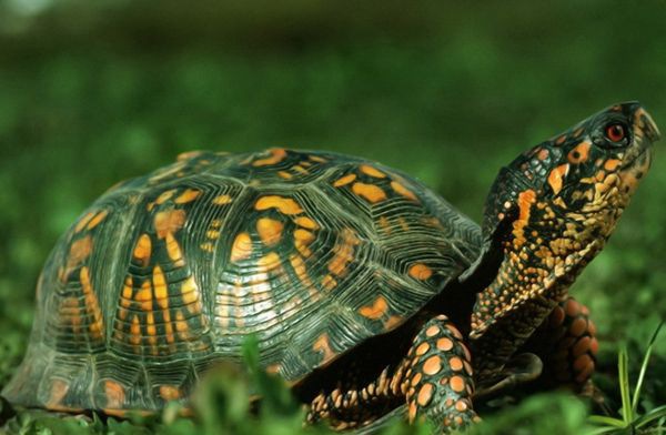 �����궬����ô��