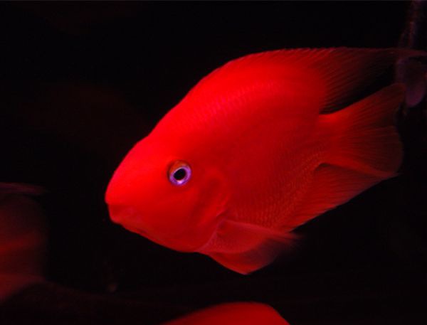 ��������ô��