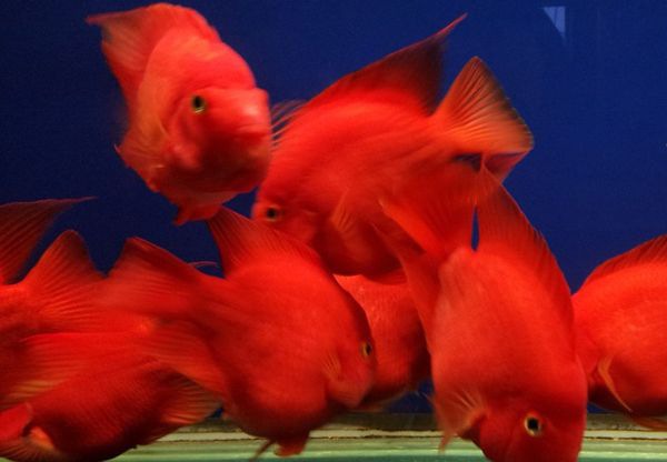 ��������ô��