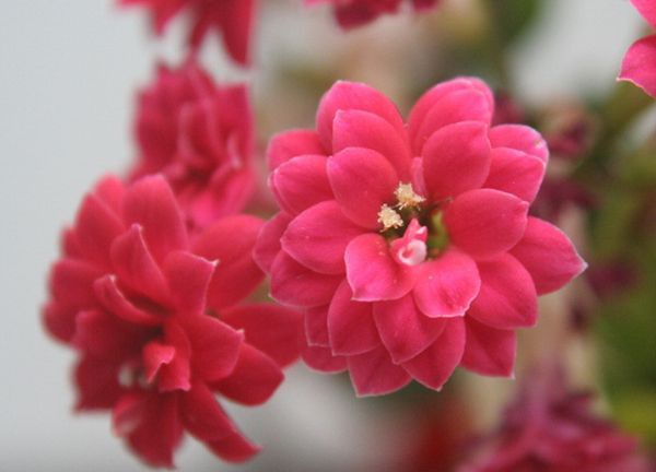 ���ٻ���ô��